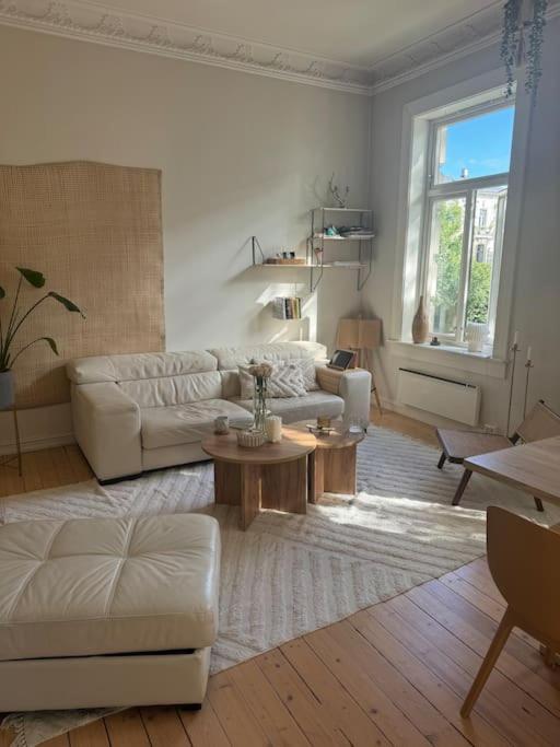 Super apartment in heart of Oslo