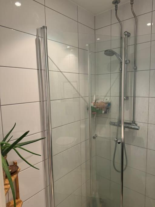 Super apartment in heart of Oslo