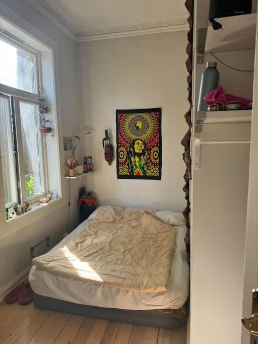 Super apartment in heart of Oslo