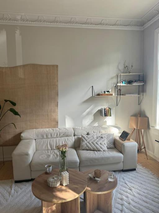 Super apartment in heart of Oslo