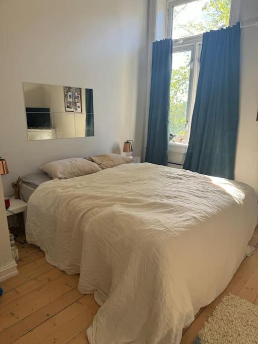 Super apartment in heart of Oslo
