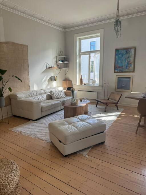 Super apartment in heart of Oslo