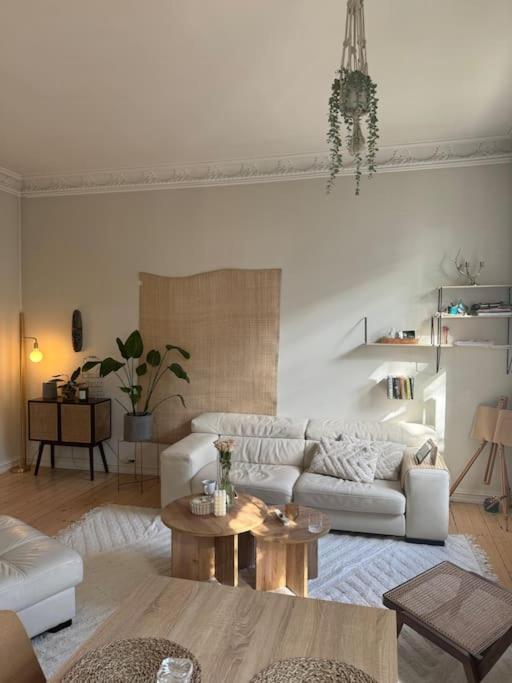 Super apartment in heart of Oslo