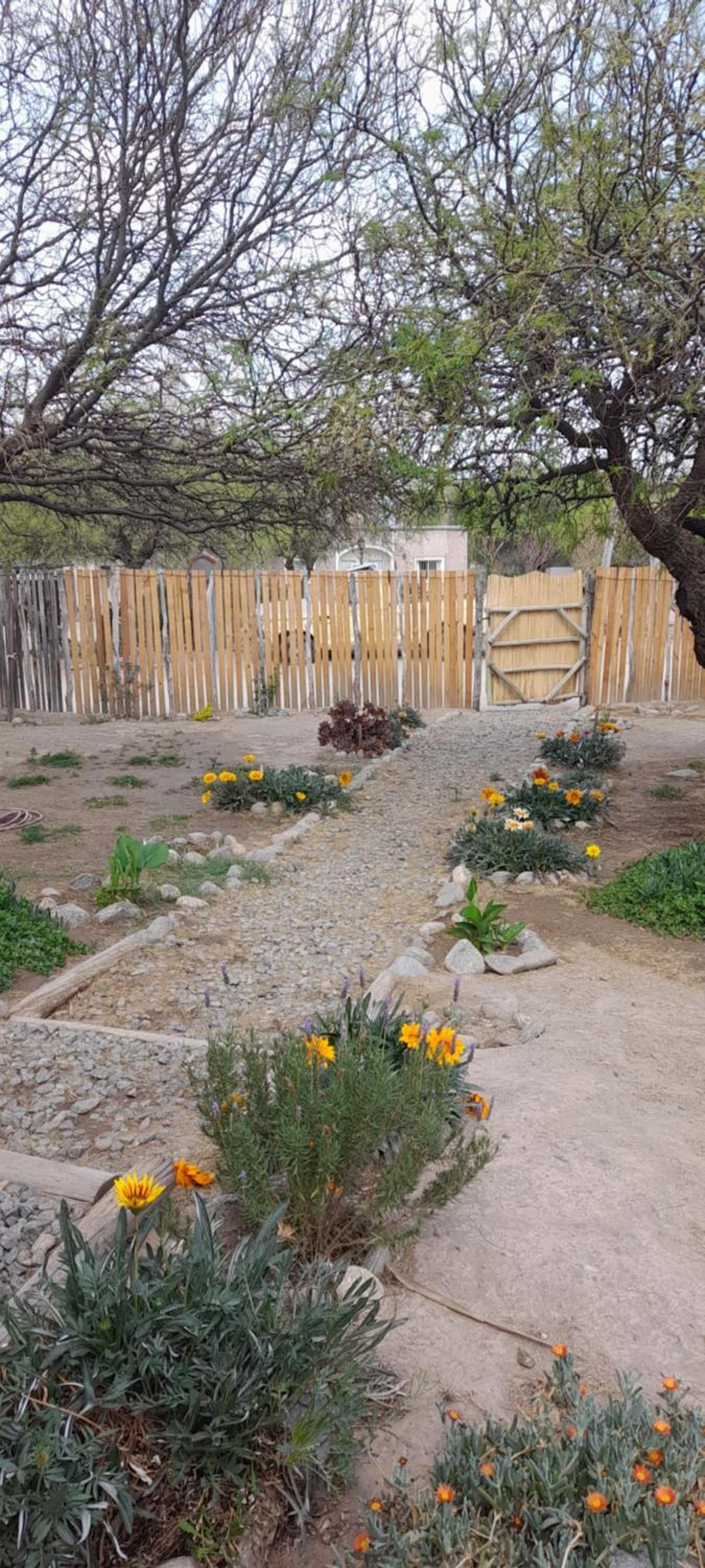 La Arenosa 1