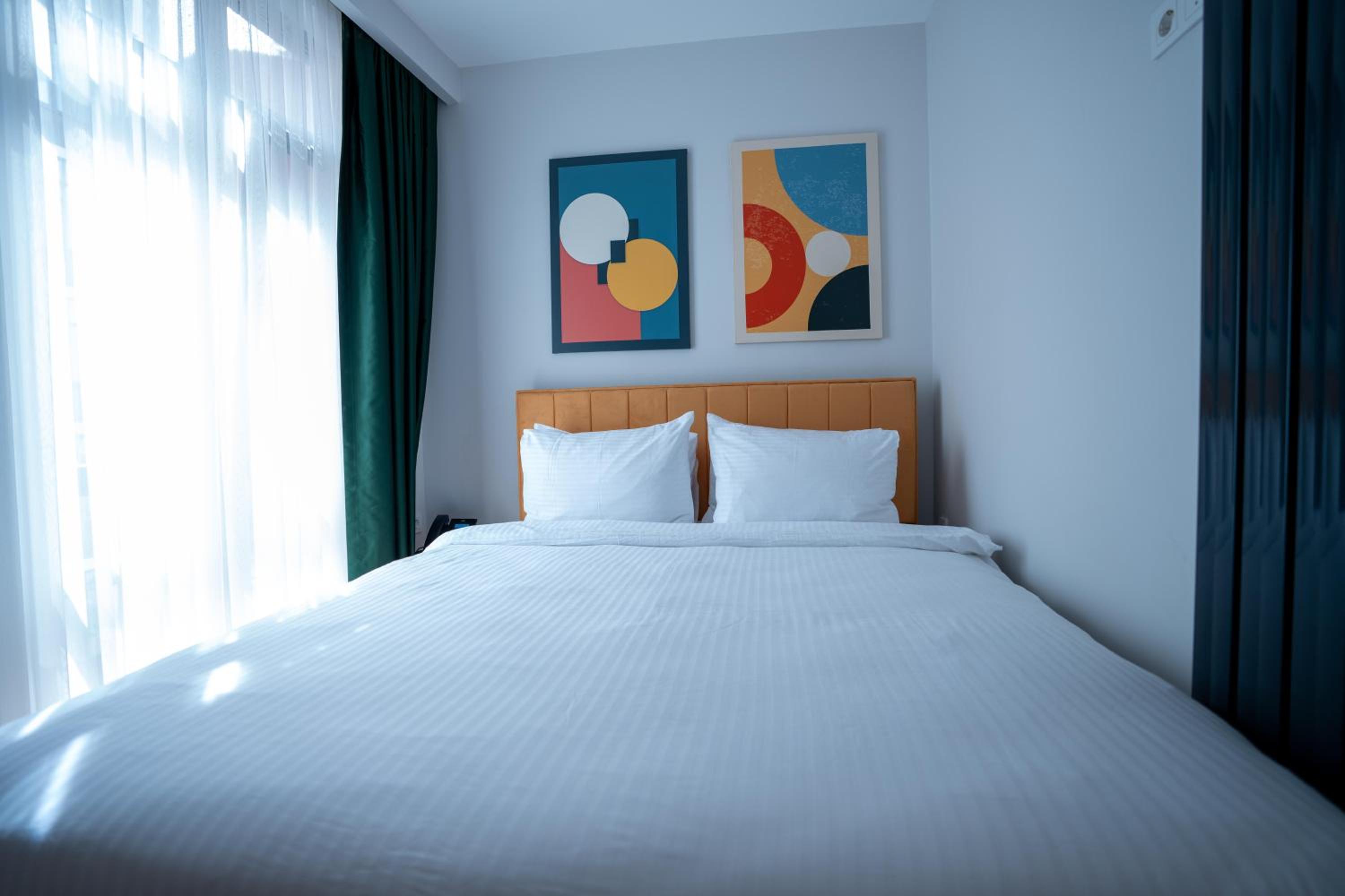 Bird Nest Suites - Image 22