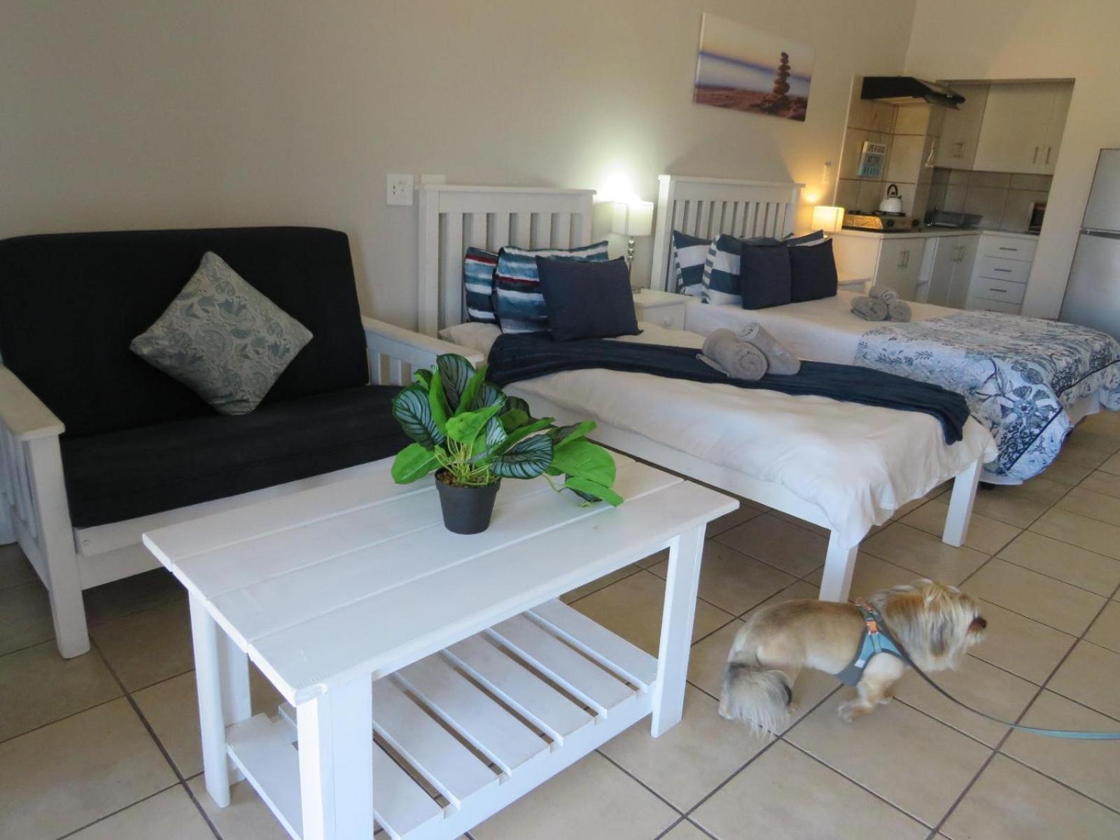 CBS Accommodation
