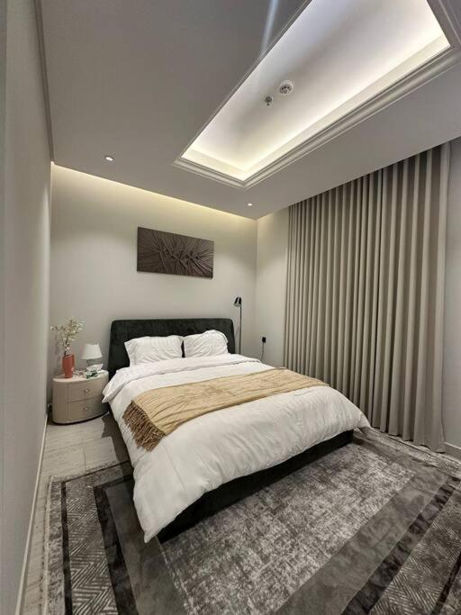 Luxury 1 Bedroom Apartment