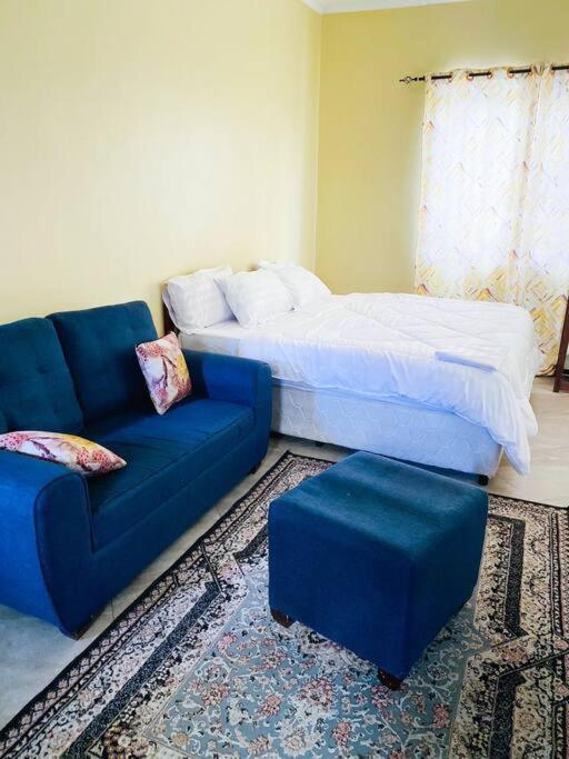 best studio in dar view 3