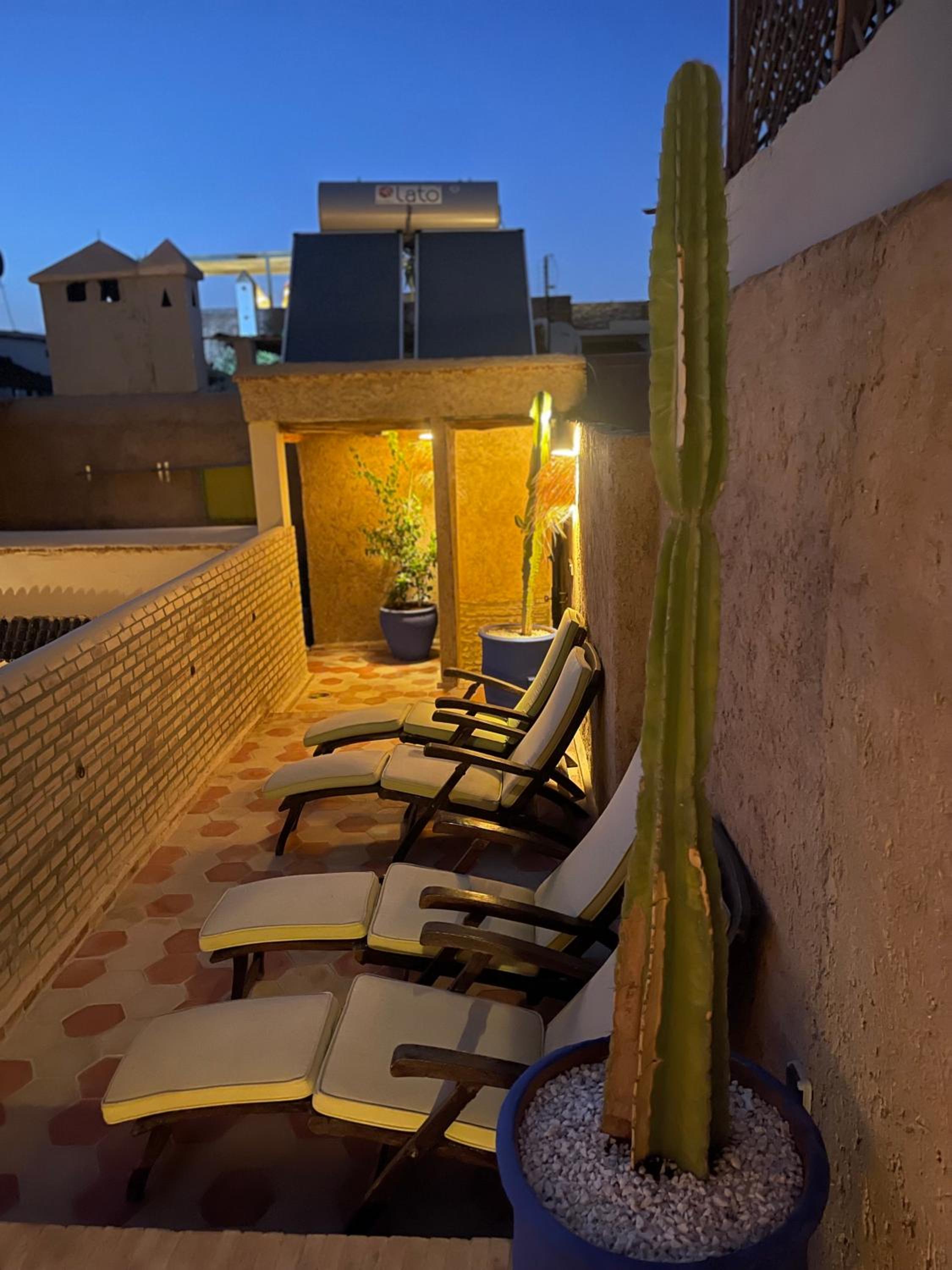 balance & terrace