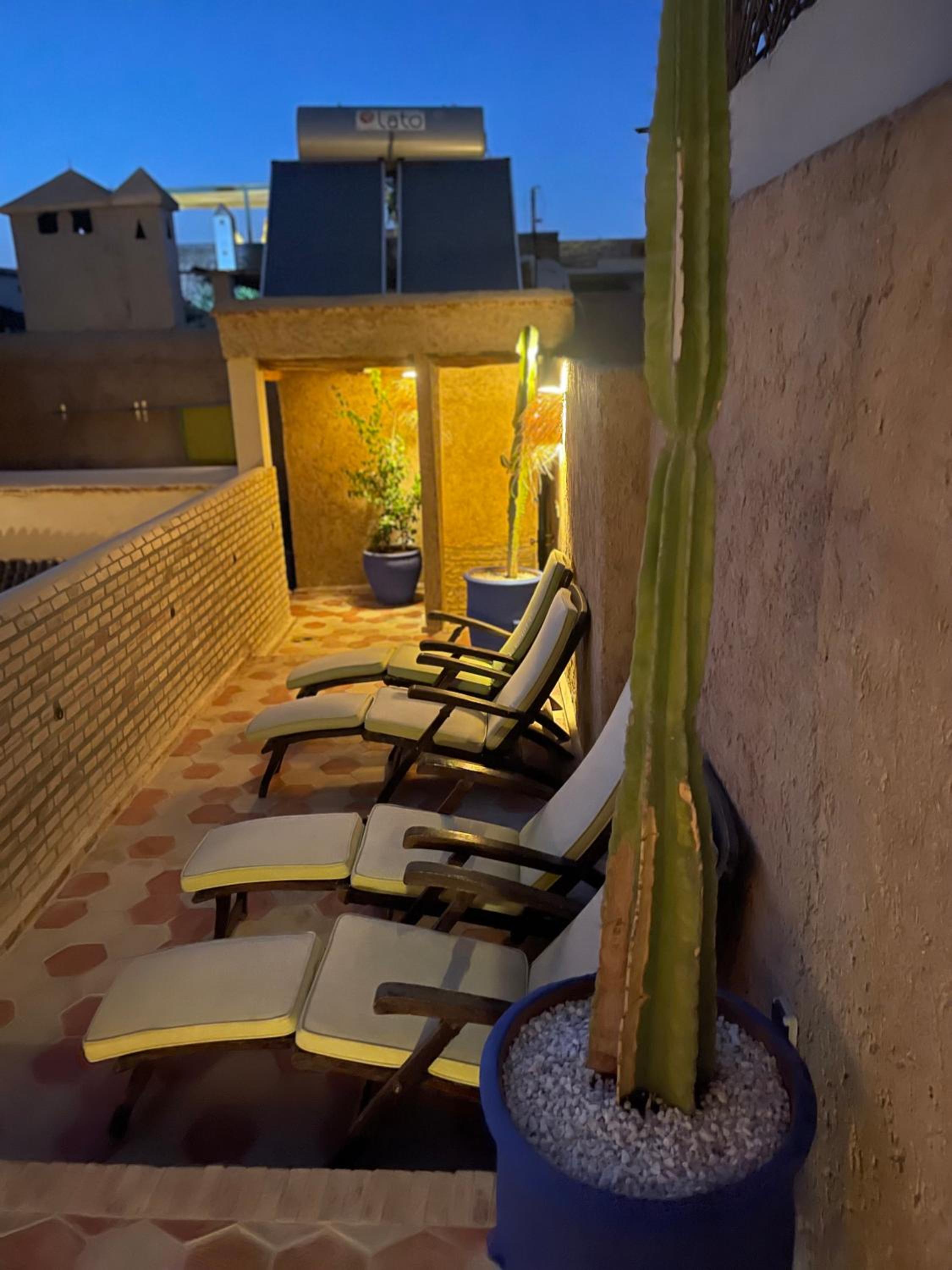 balance & terrace