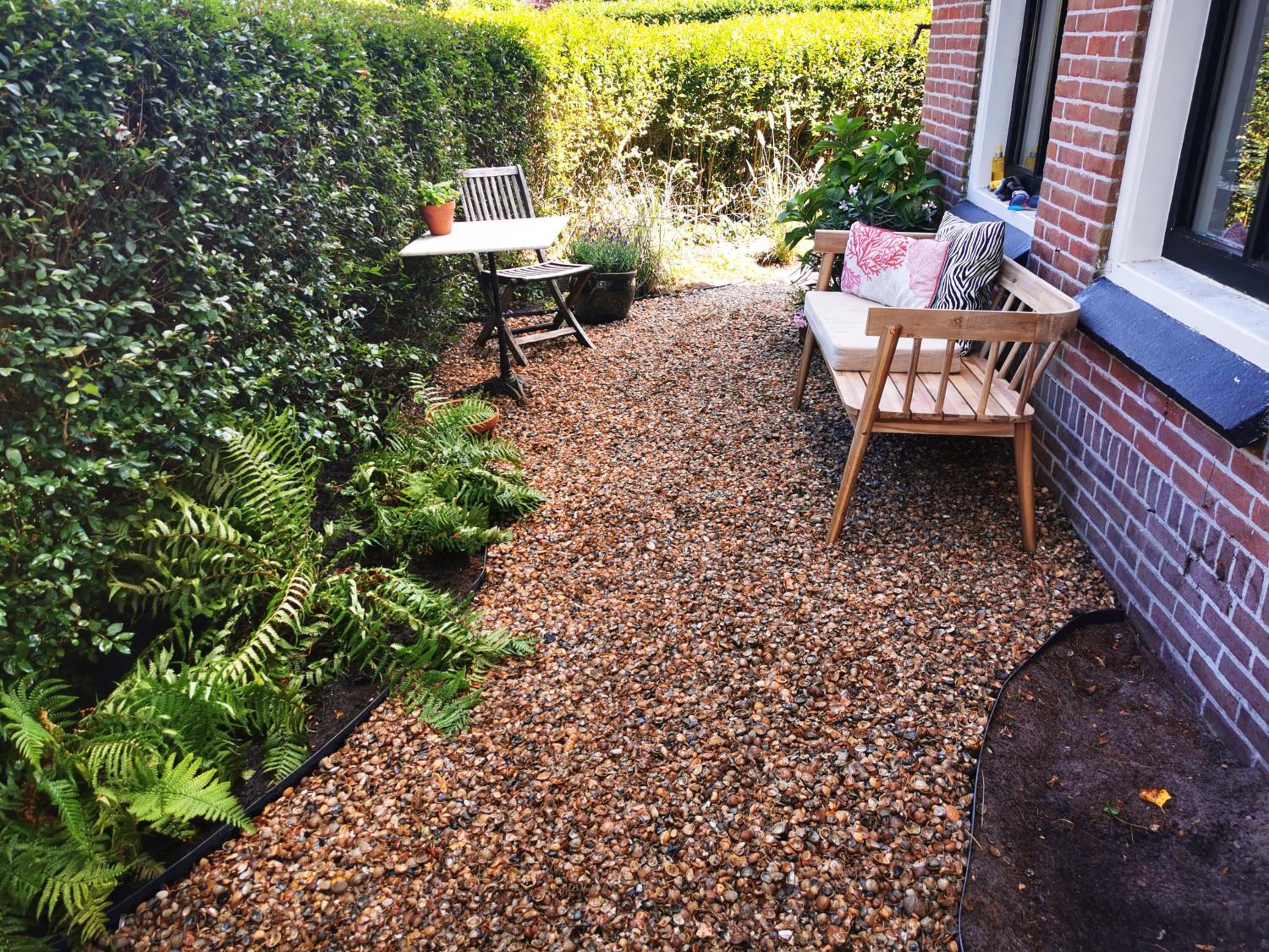 Photo 12