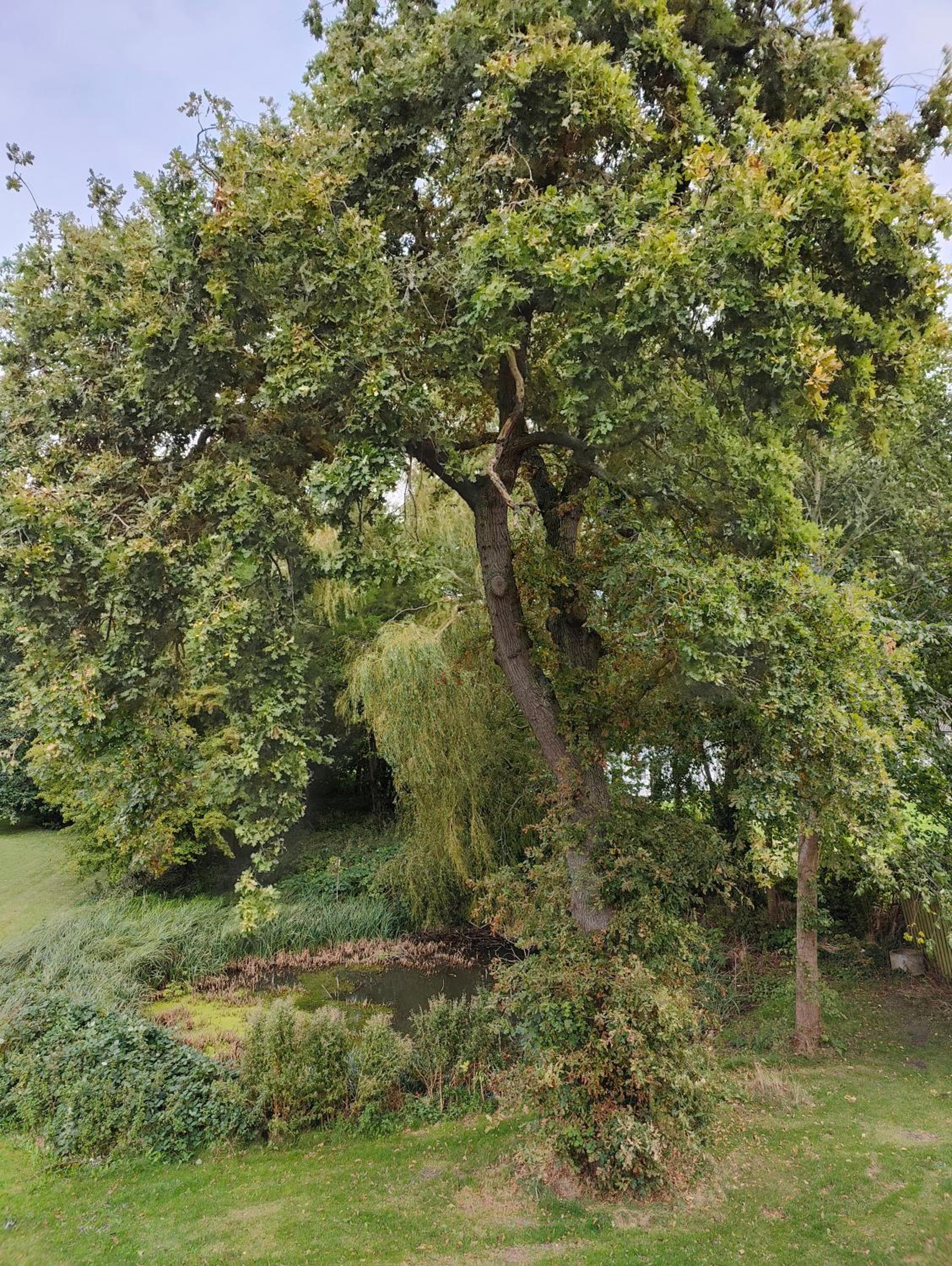 The Old Vicarage