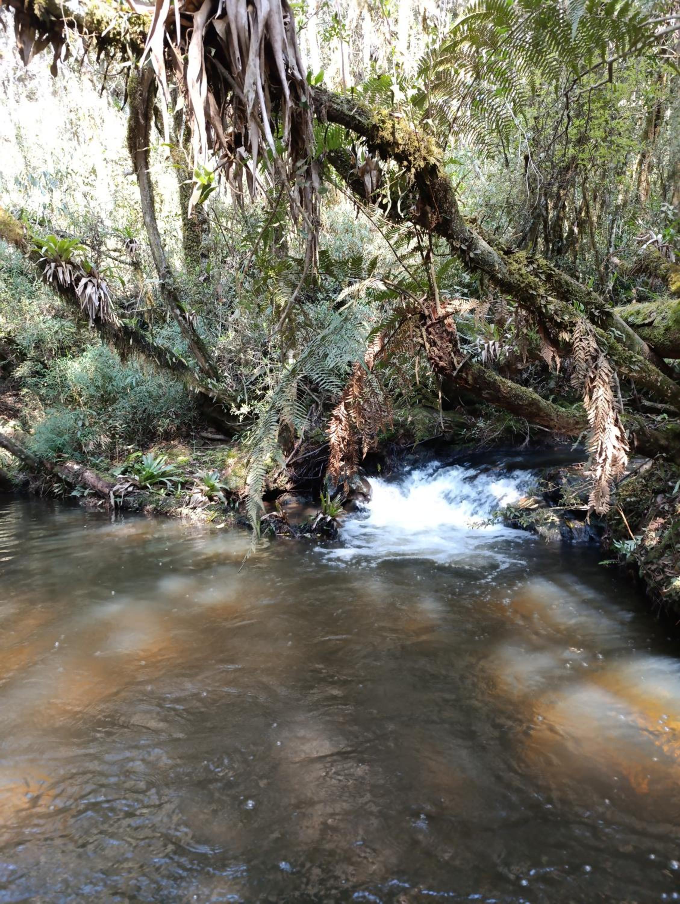 Photo 25