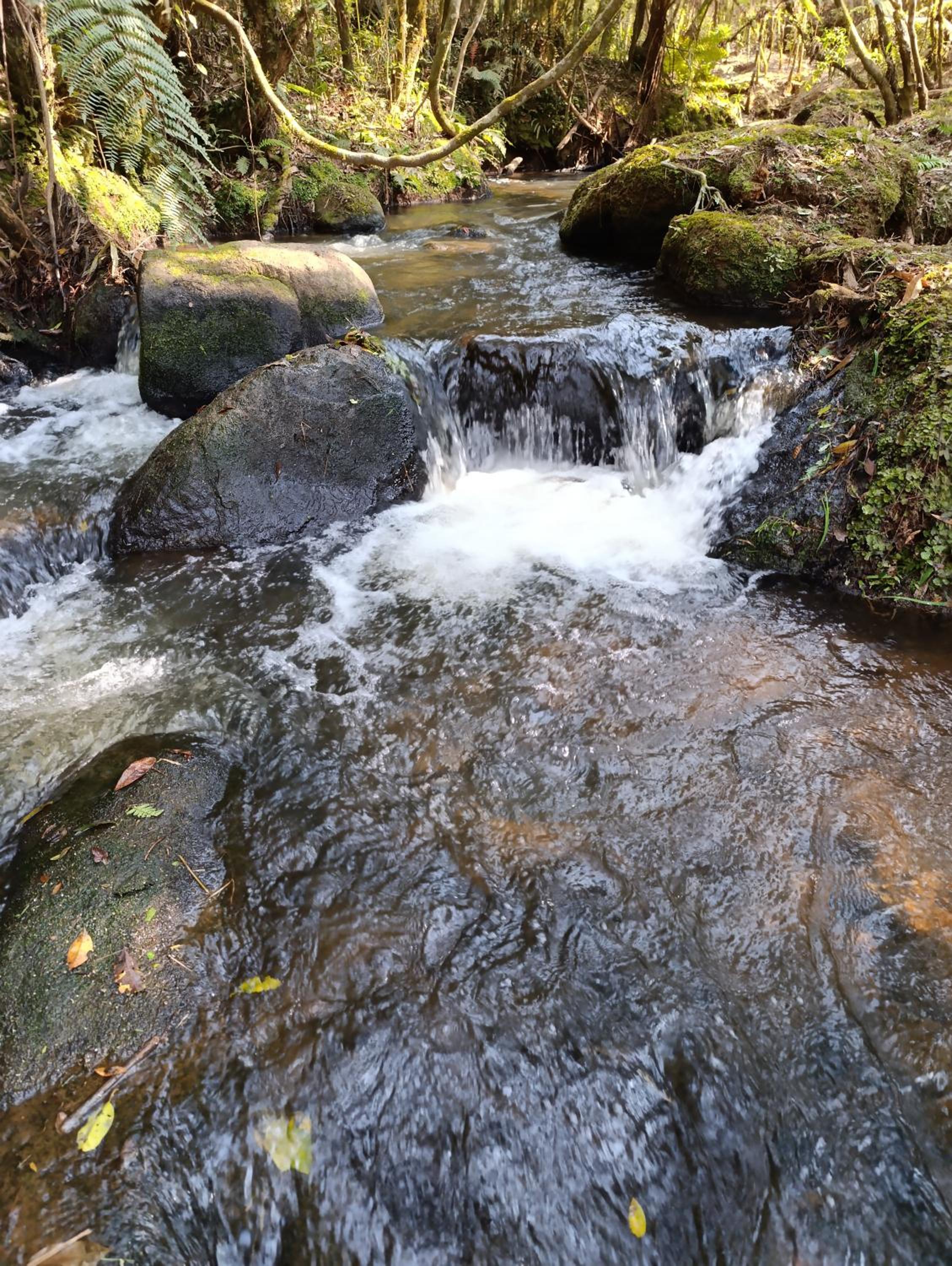 Photo 29