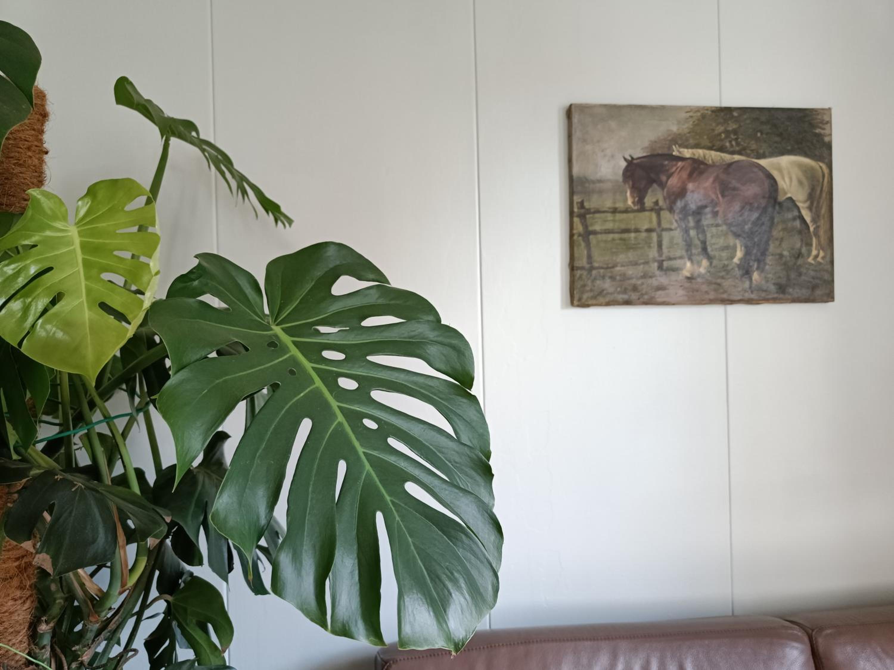 Vakantiewoning 't Kusterke