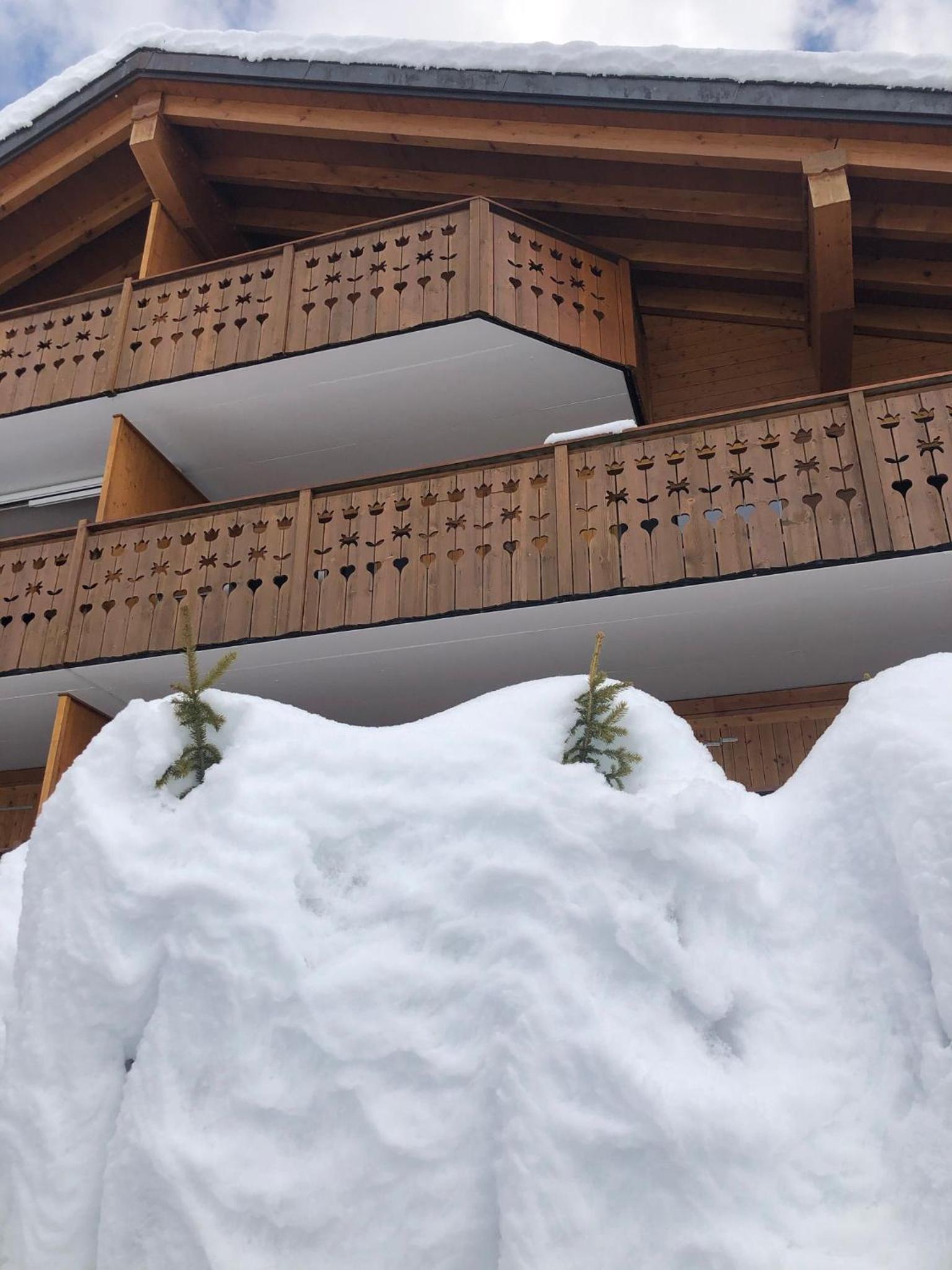 Alpina Gardens Boutique in Villars-Gryon