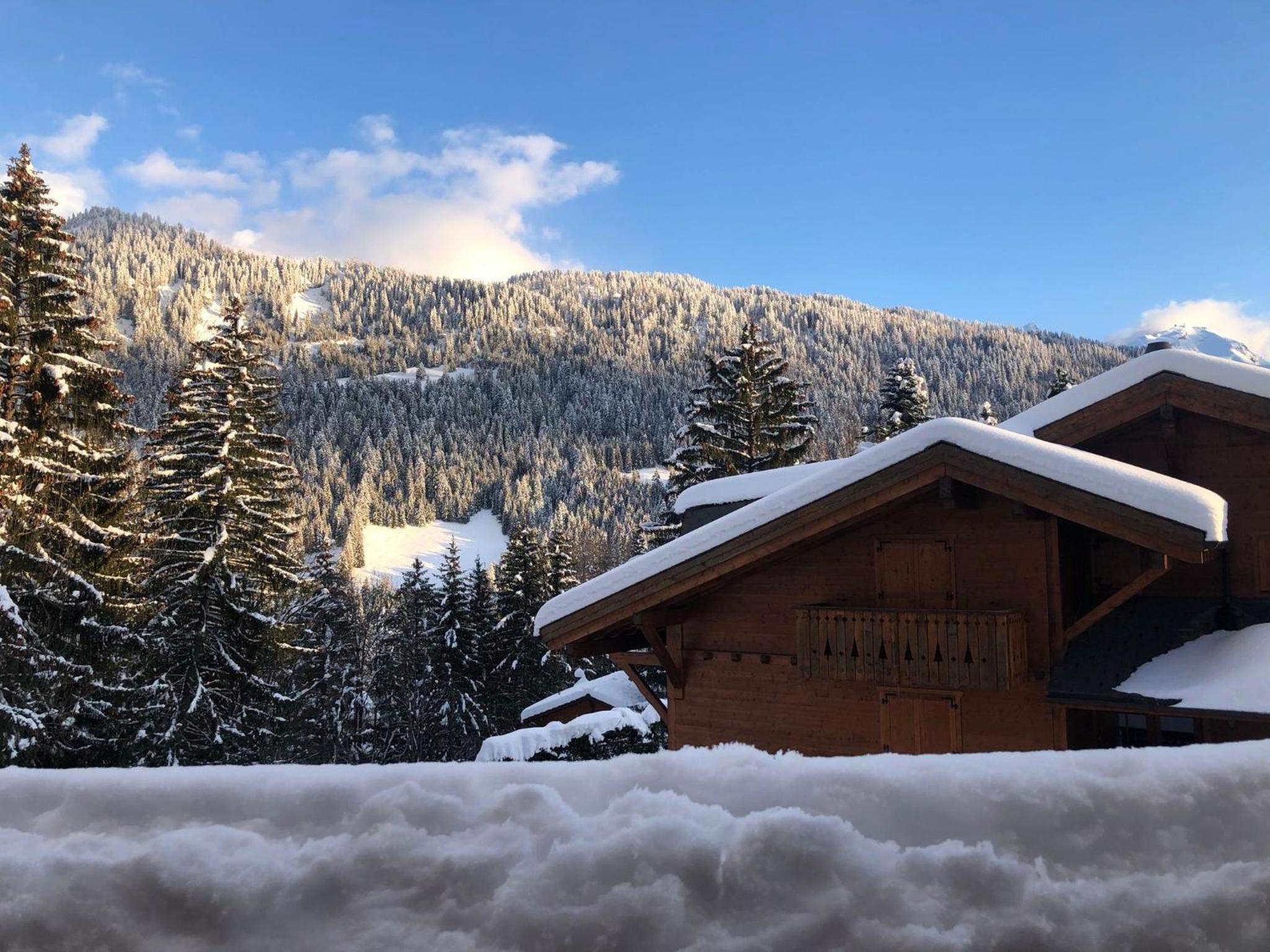 Alpina Gardens Boutique in Villars-Gryon