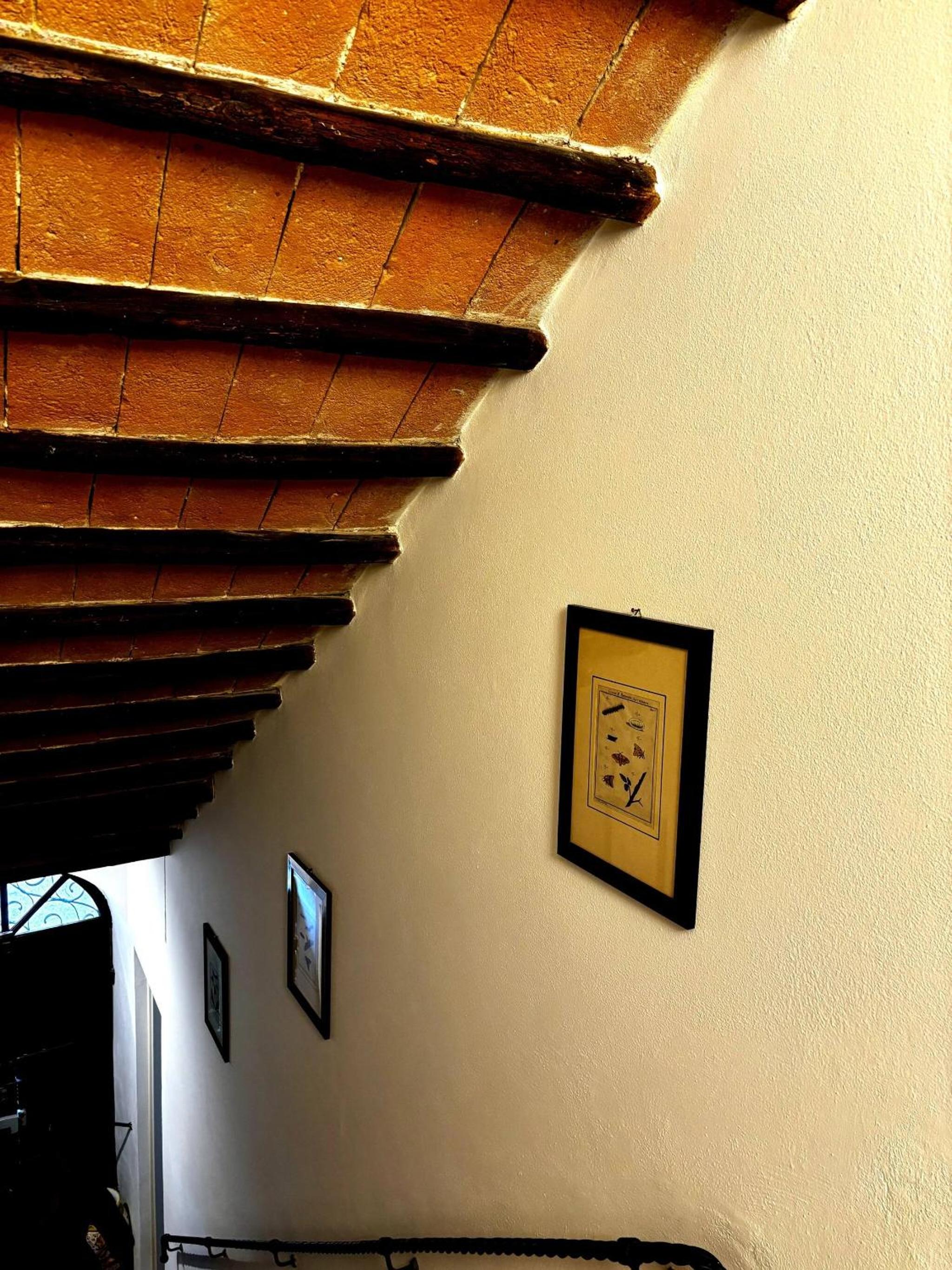 Appartamento Appia Castel Viscardo view 4