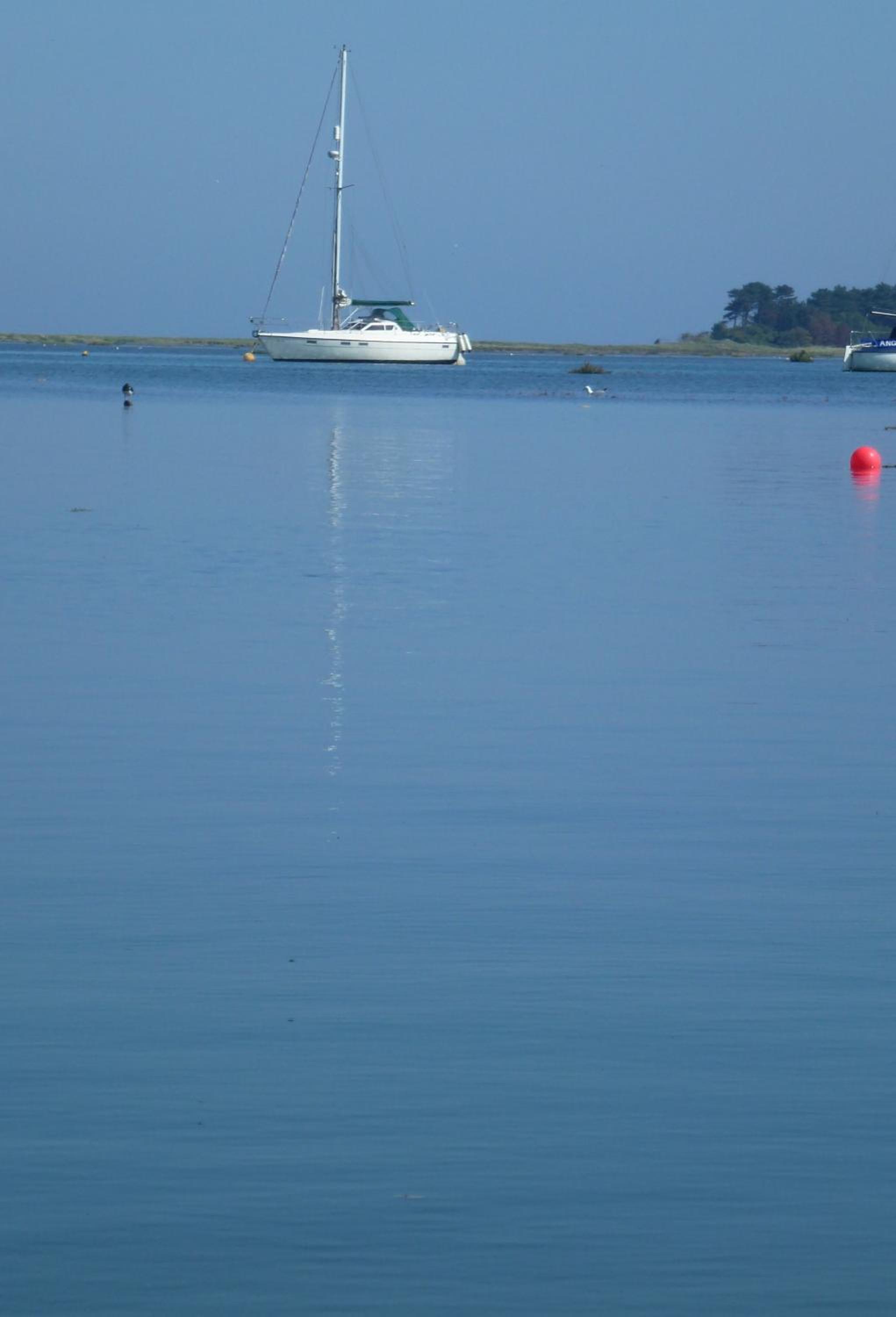 Photo 40