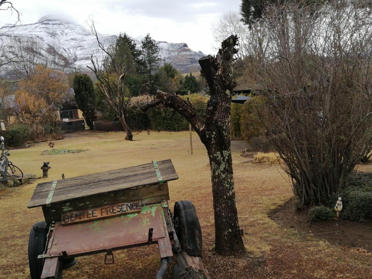 Photo 17