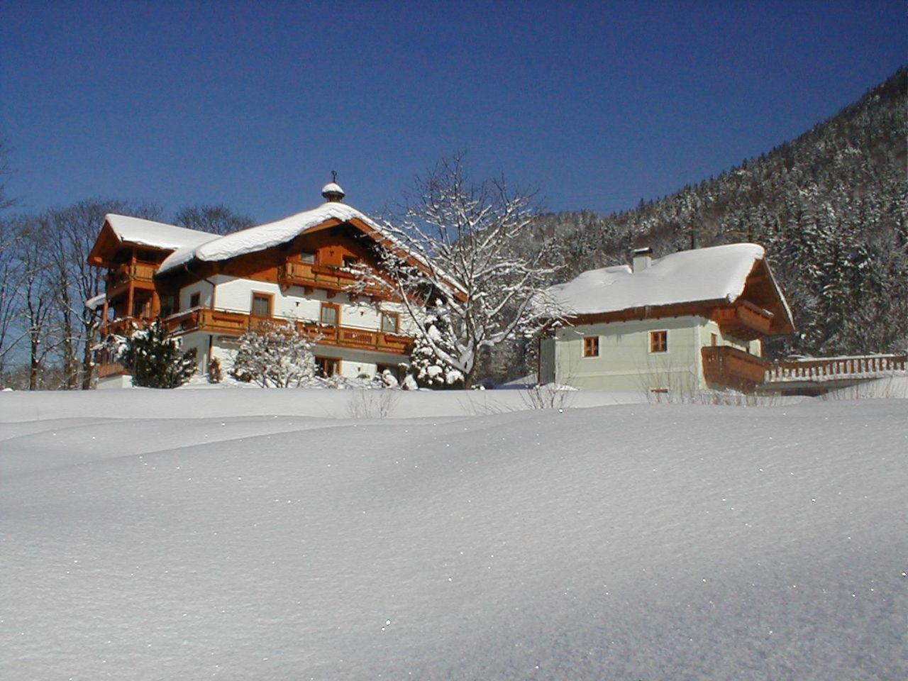 Haus Hirschpoint