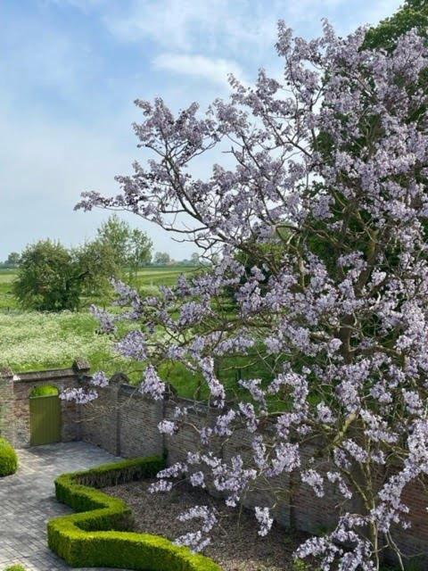 De Pastorie Diksmuide