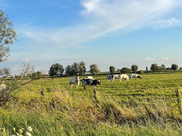 De Pastorie Diksmuide