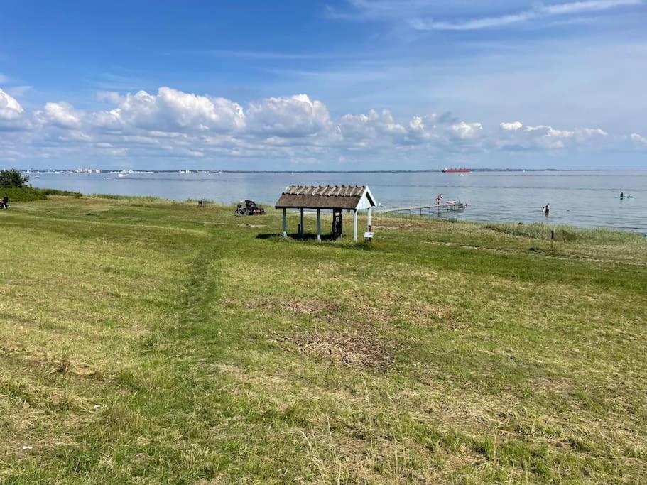 Smuk lejlighed med sundkig lige ved stranden