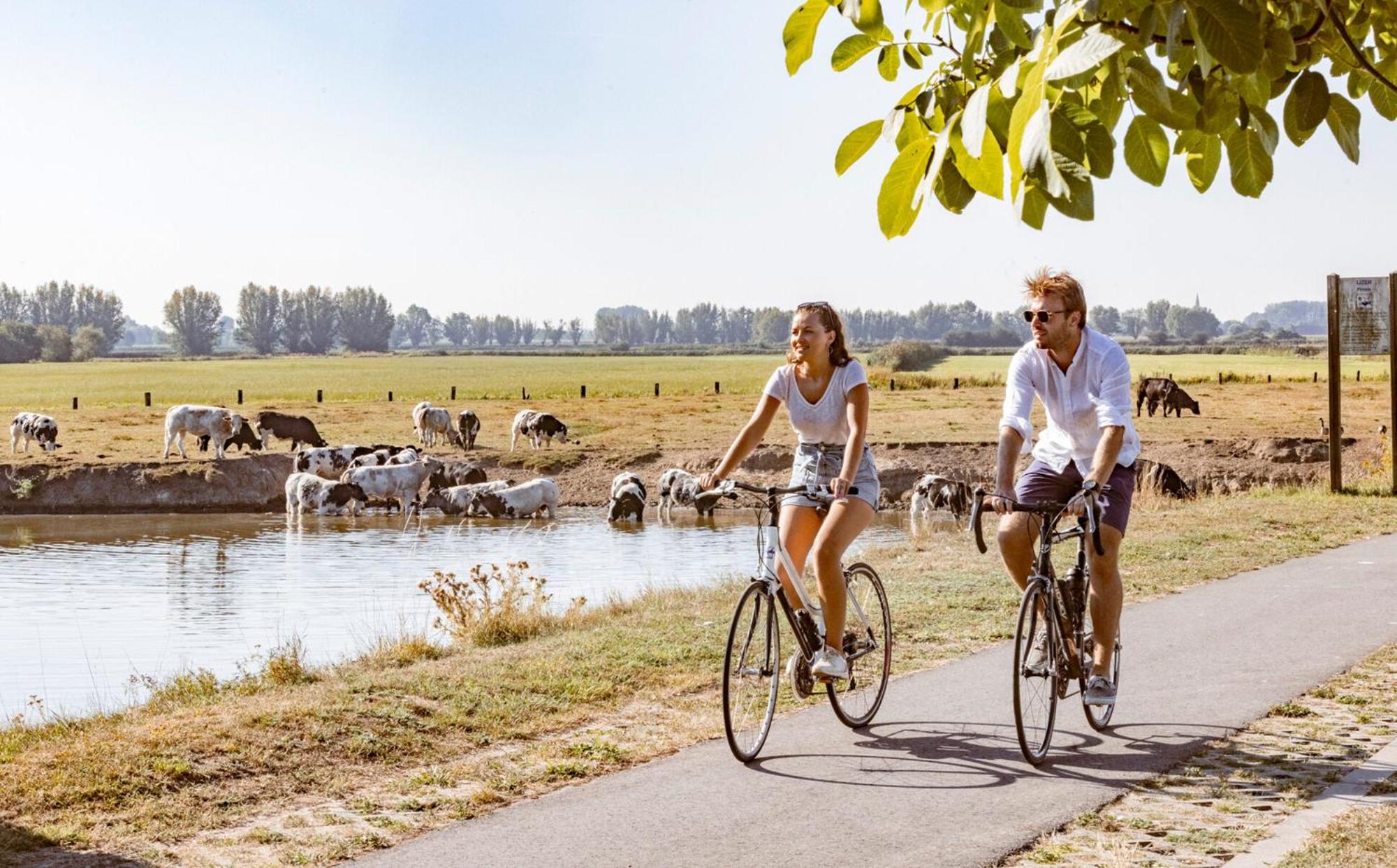 De Pastorie Diksmuide