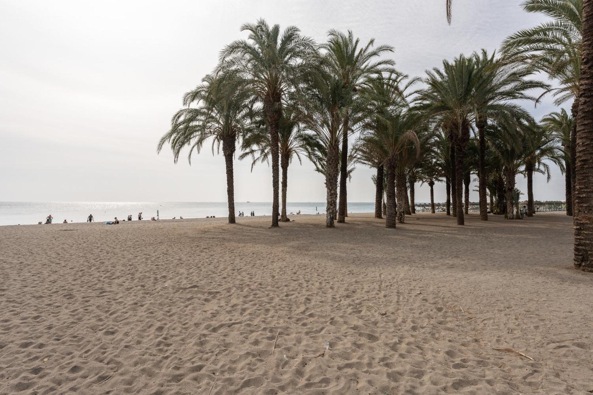 MalagaSuite Sol & Mar Apartments Torremolinos