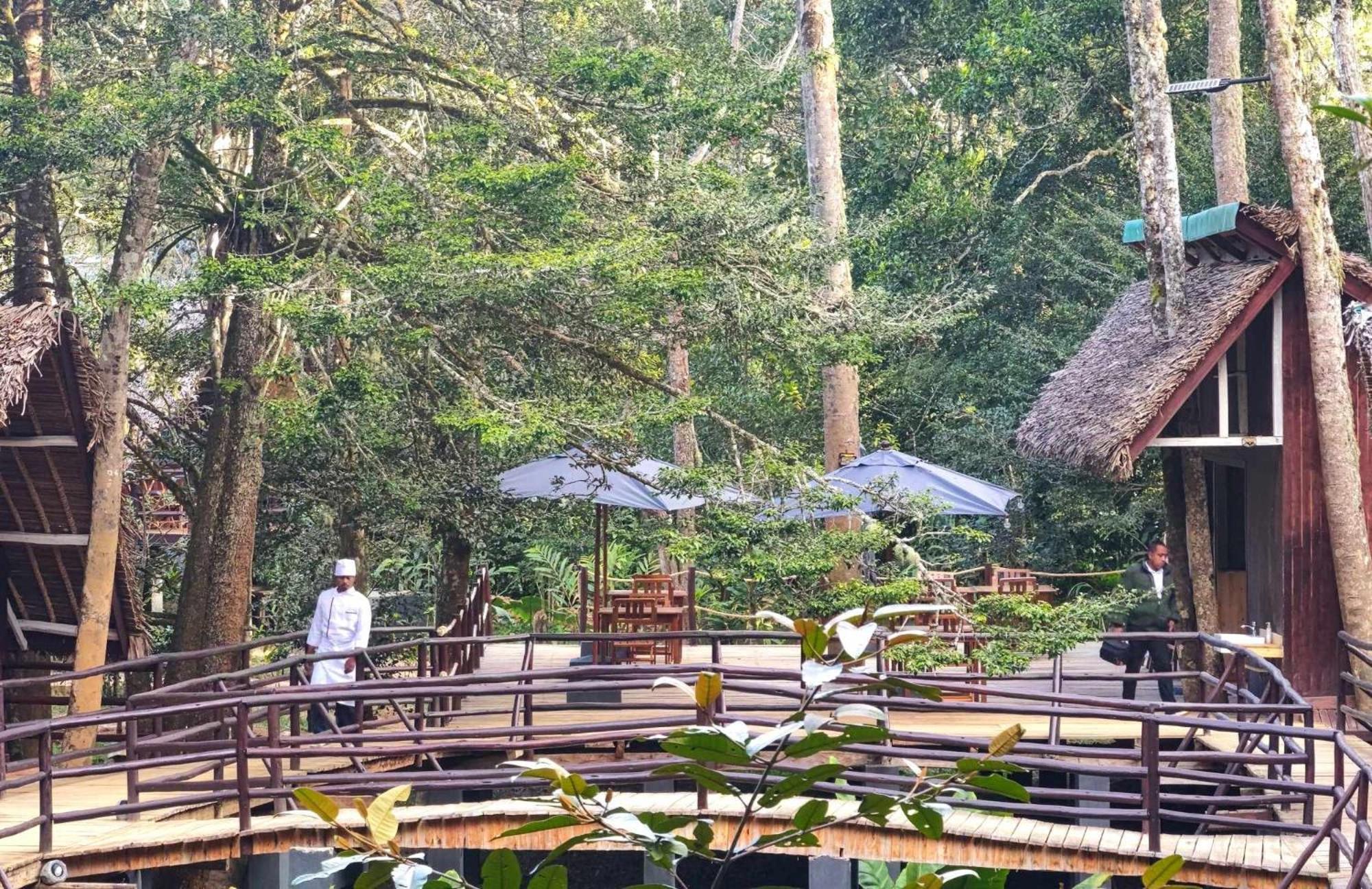 Longoza Ecolodge