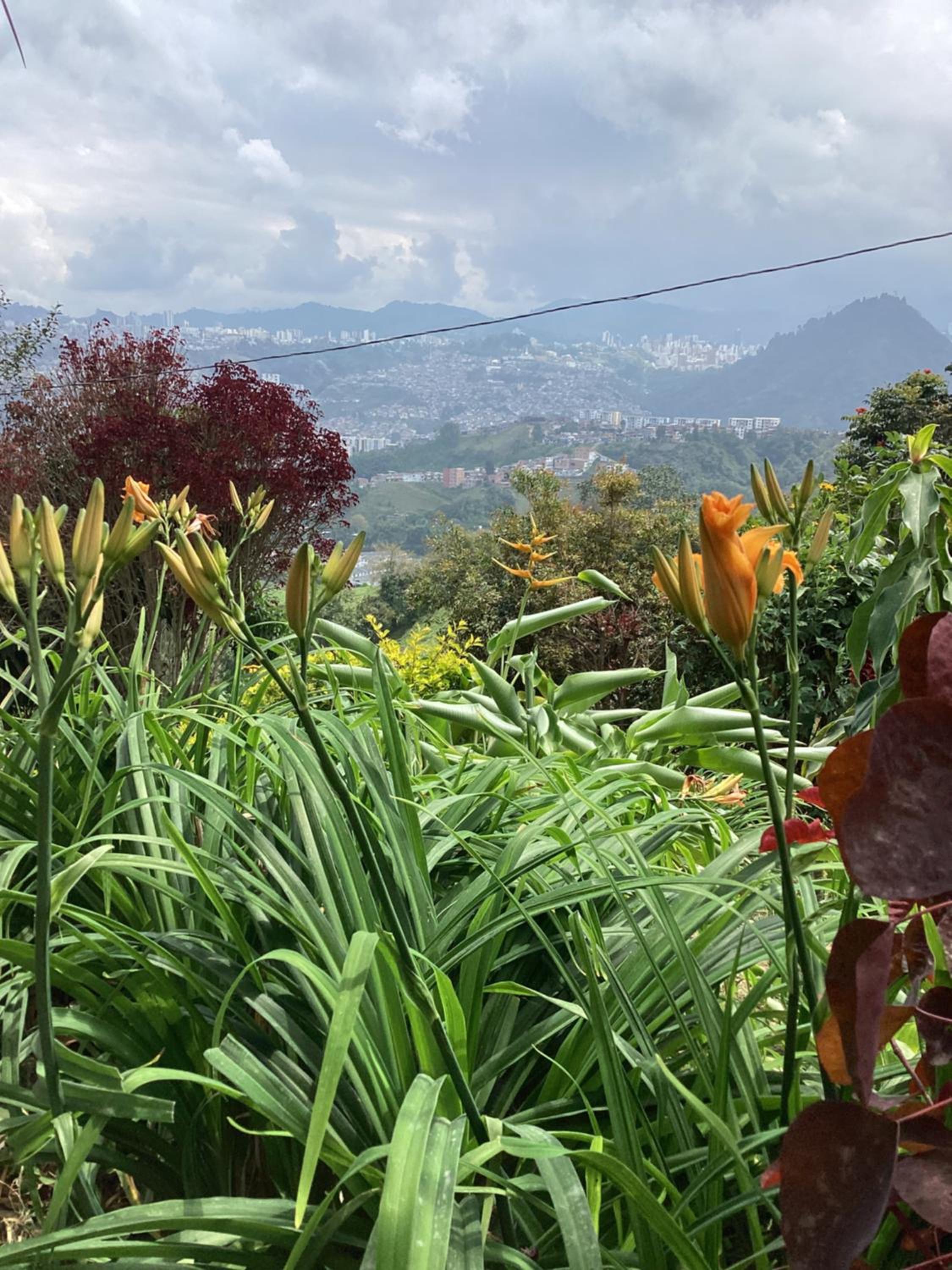 Bella vista