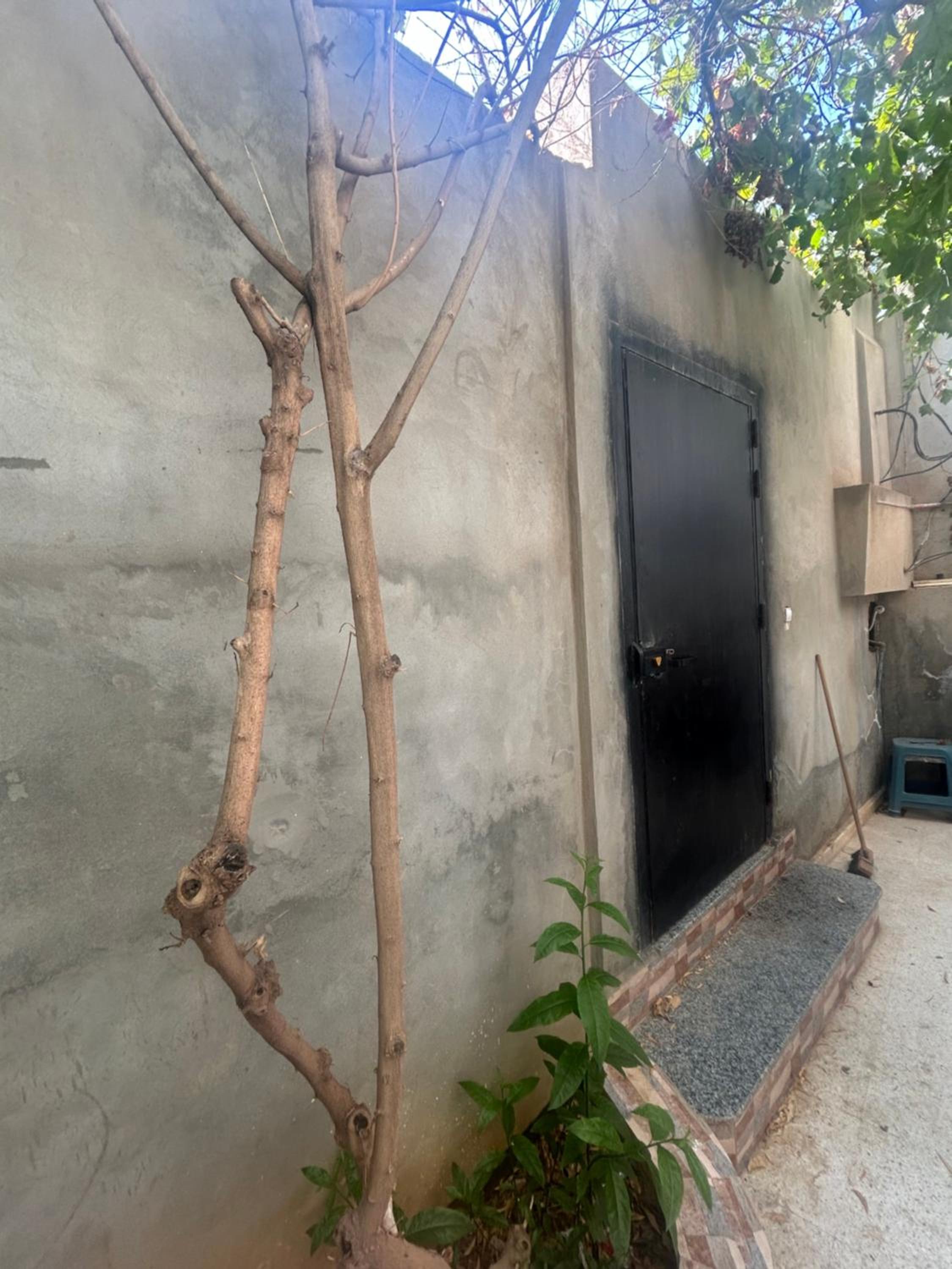 Mat Villa