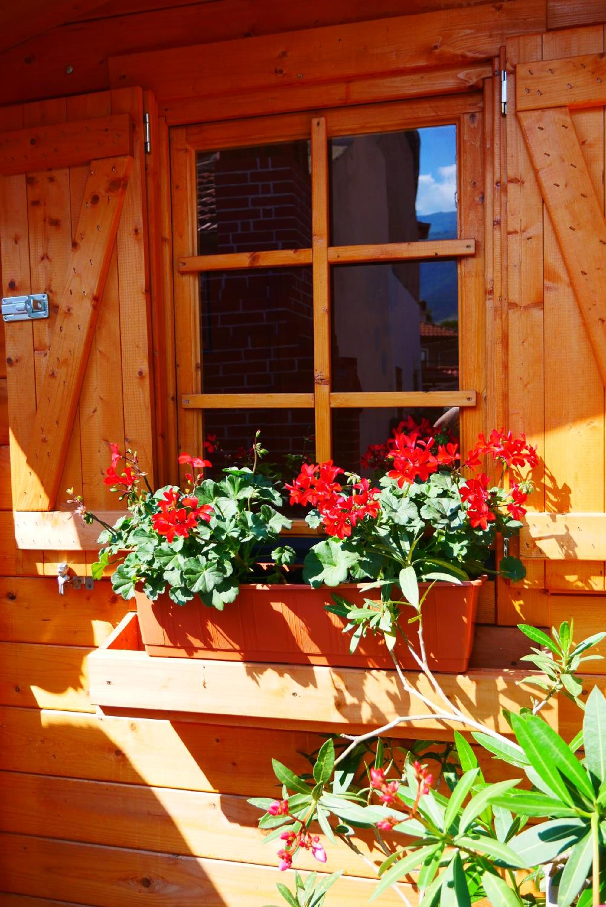 GUESTHOUSE MARIA / КЪЩА ЗА ГОСТИ МАРИЯ / GÄSTEHAUS MARIA