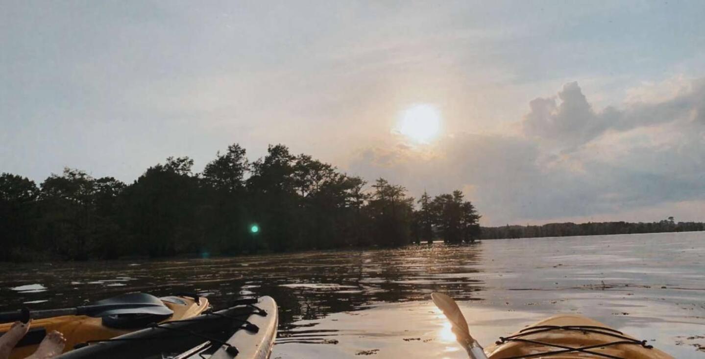 StargazerCaddo Lake Cabin with Kayaks view 5