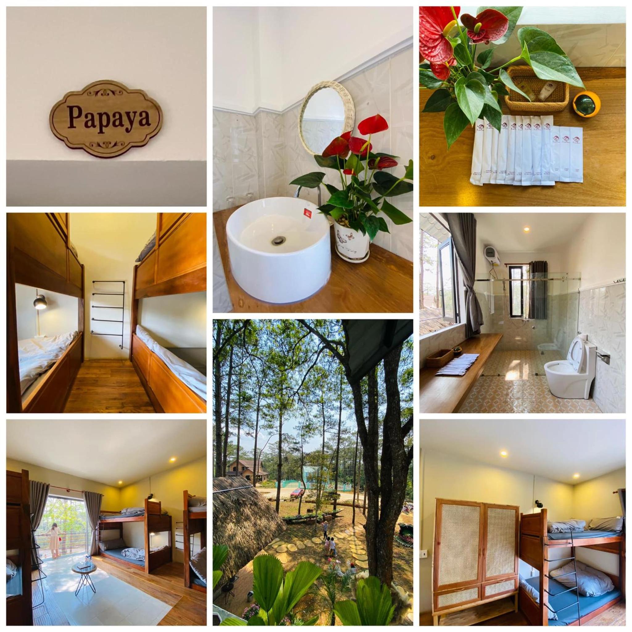 Snghe homestay Măng Đen view 5