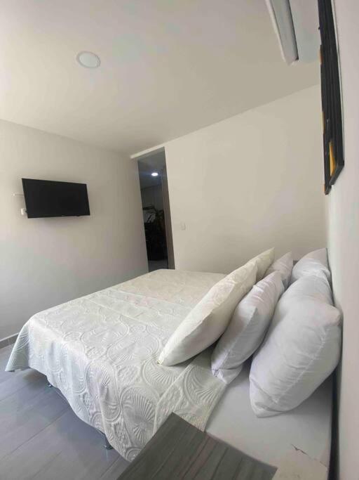 Comodo y Hermoso Apartamento Cartago