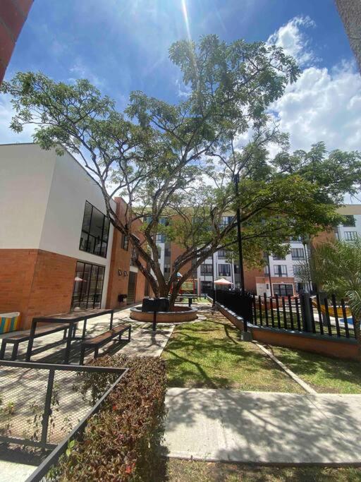 Comodo y Hermoso Apartamento Cartago