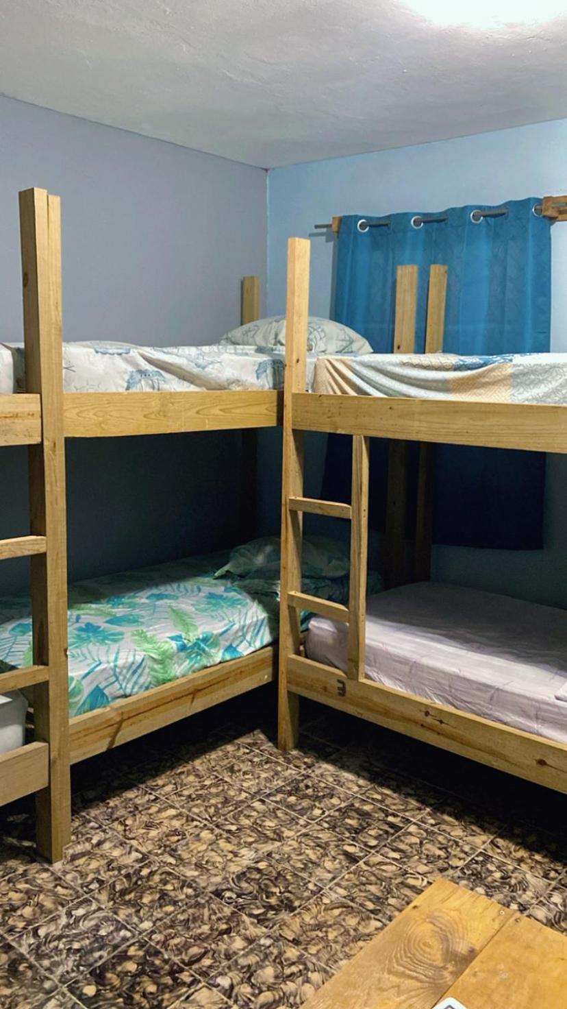 Dreamer's Hostel