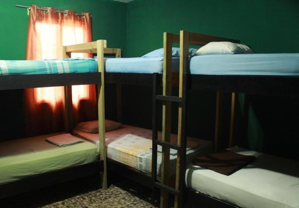 Dreamer's Hostel