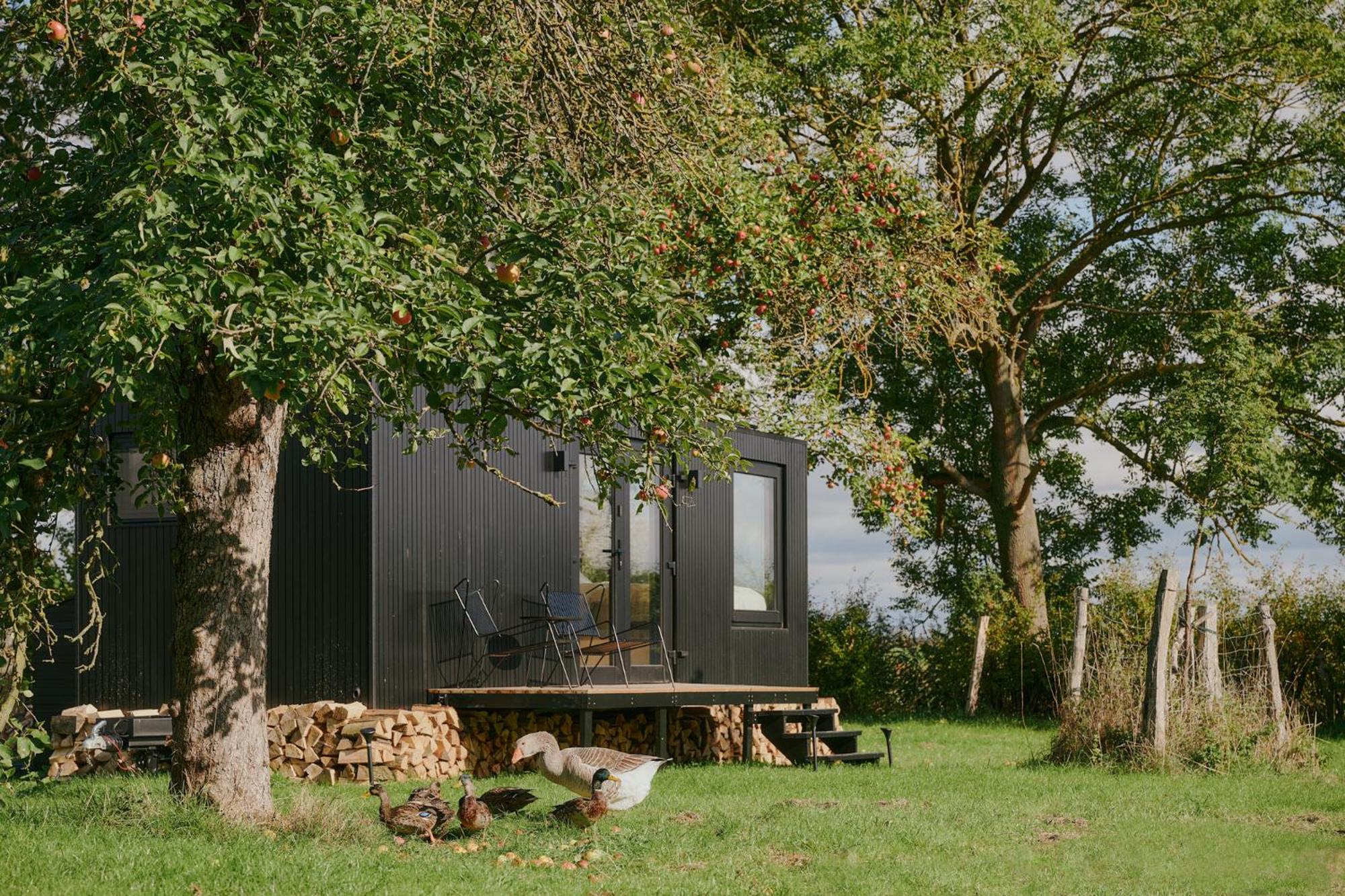 Raus Tiny House auf dem Land mit Hoftieren und Sauna