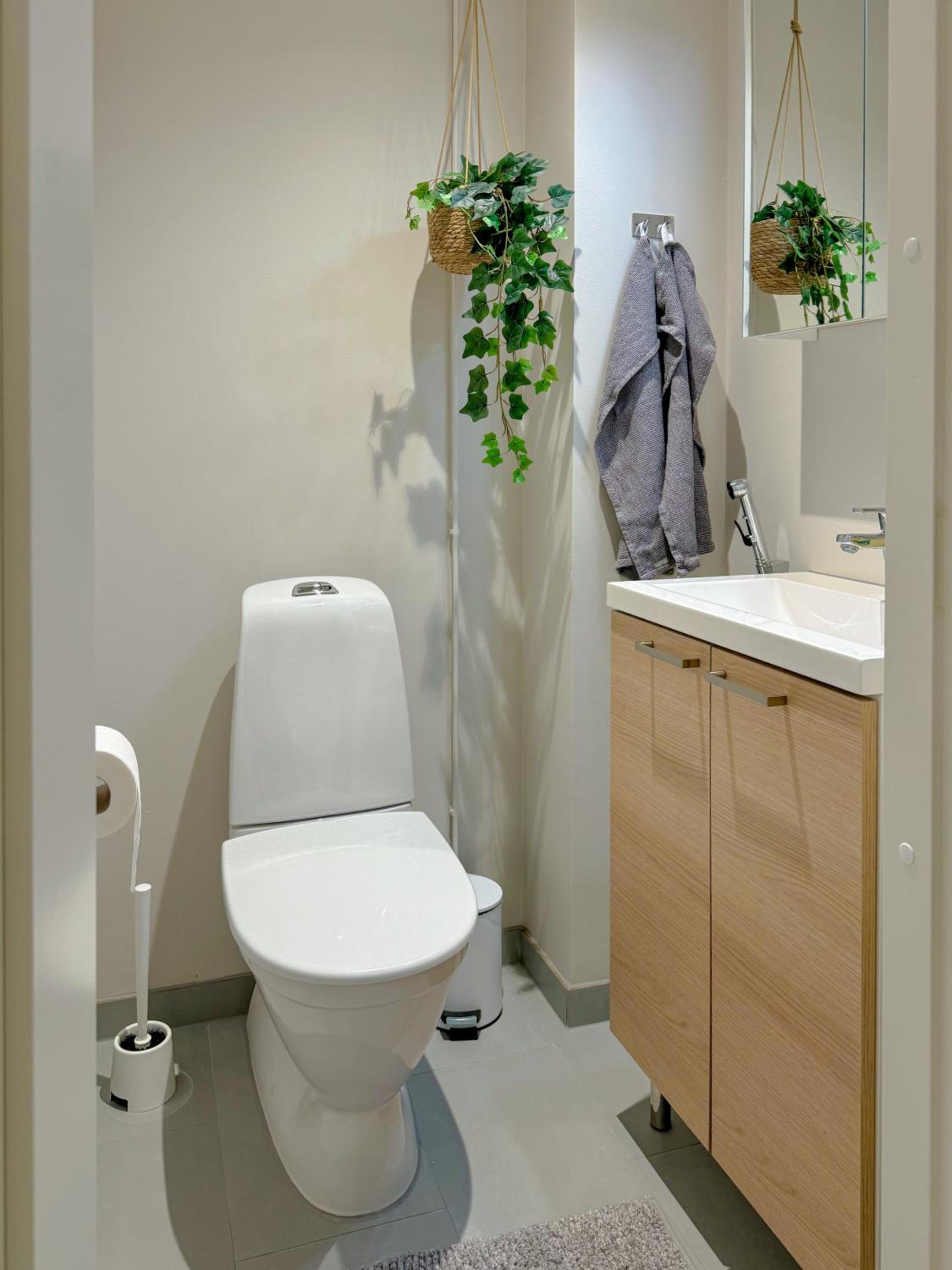 Levistar Family Suite