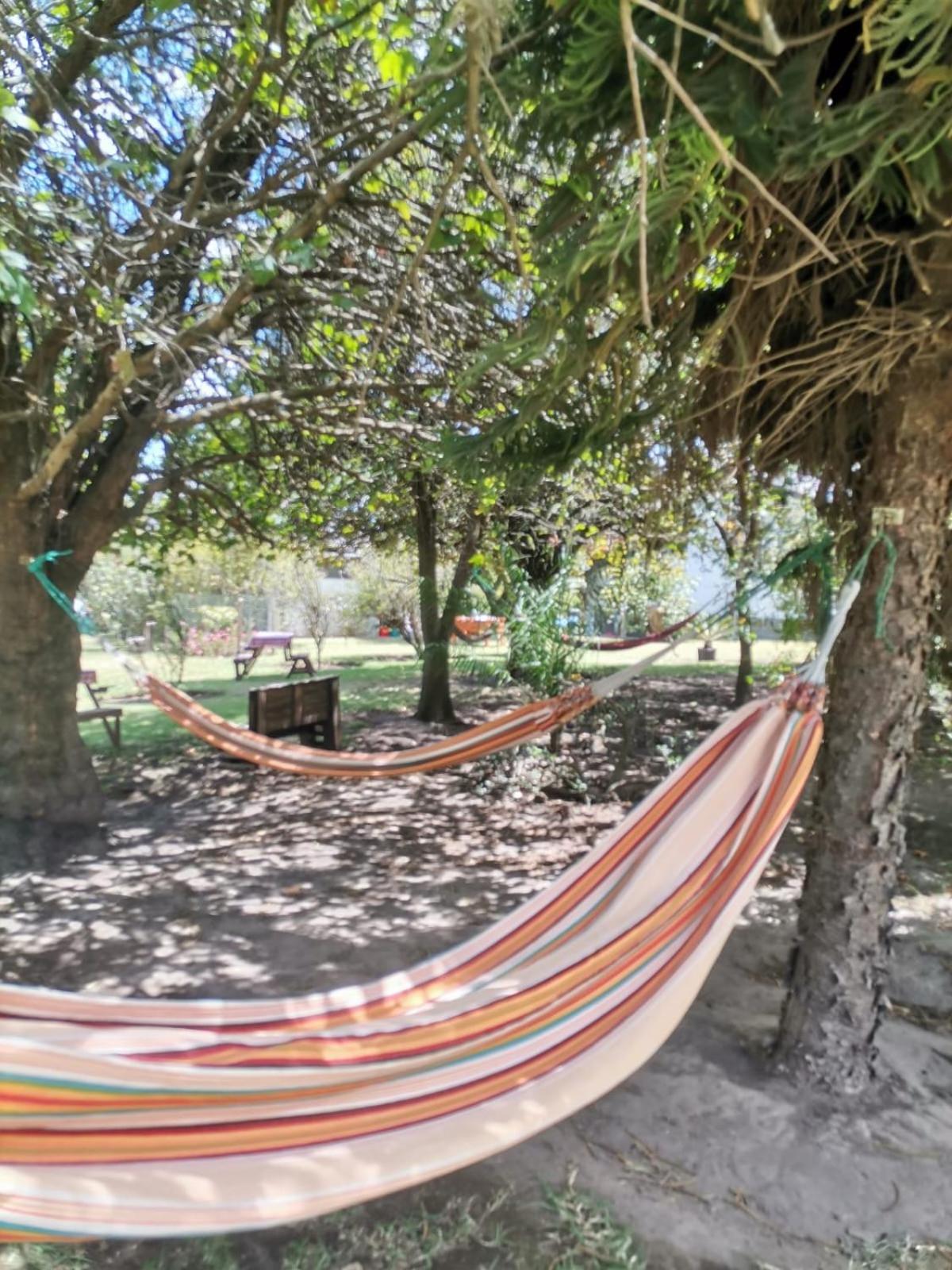 Casa Altea Farm