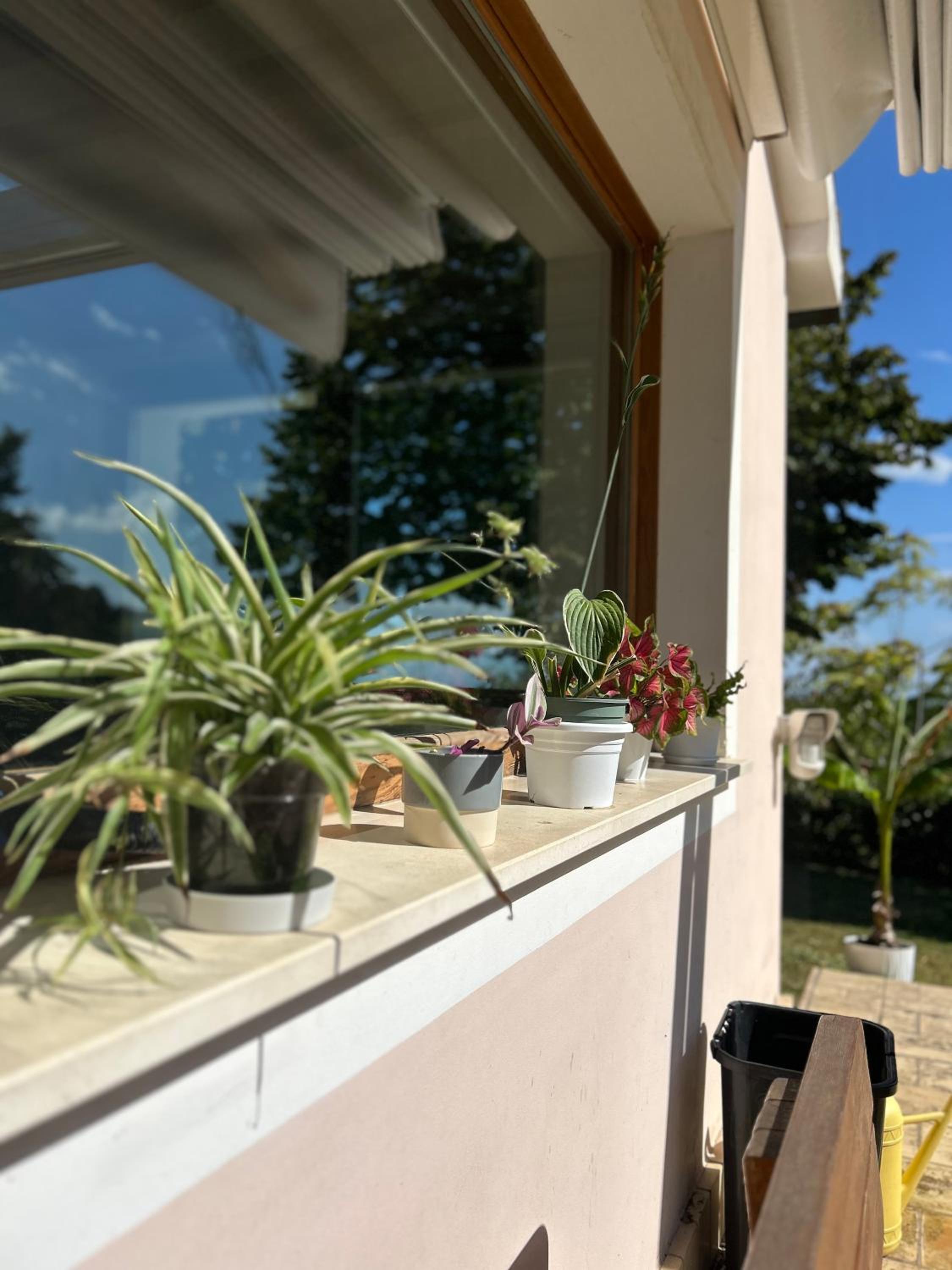 Aspasia B&B view 5