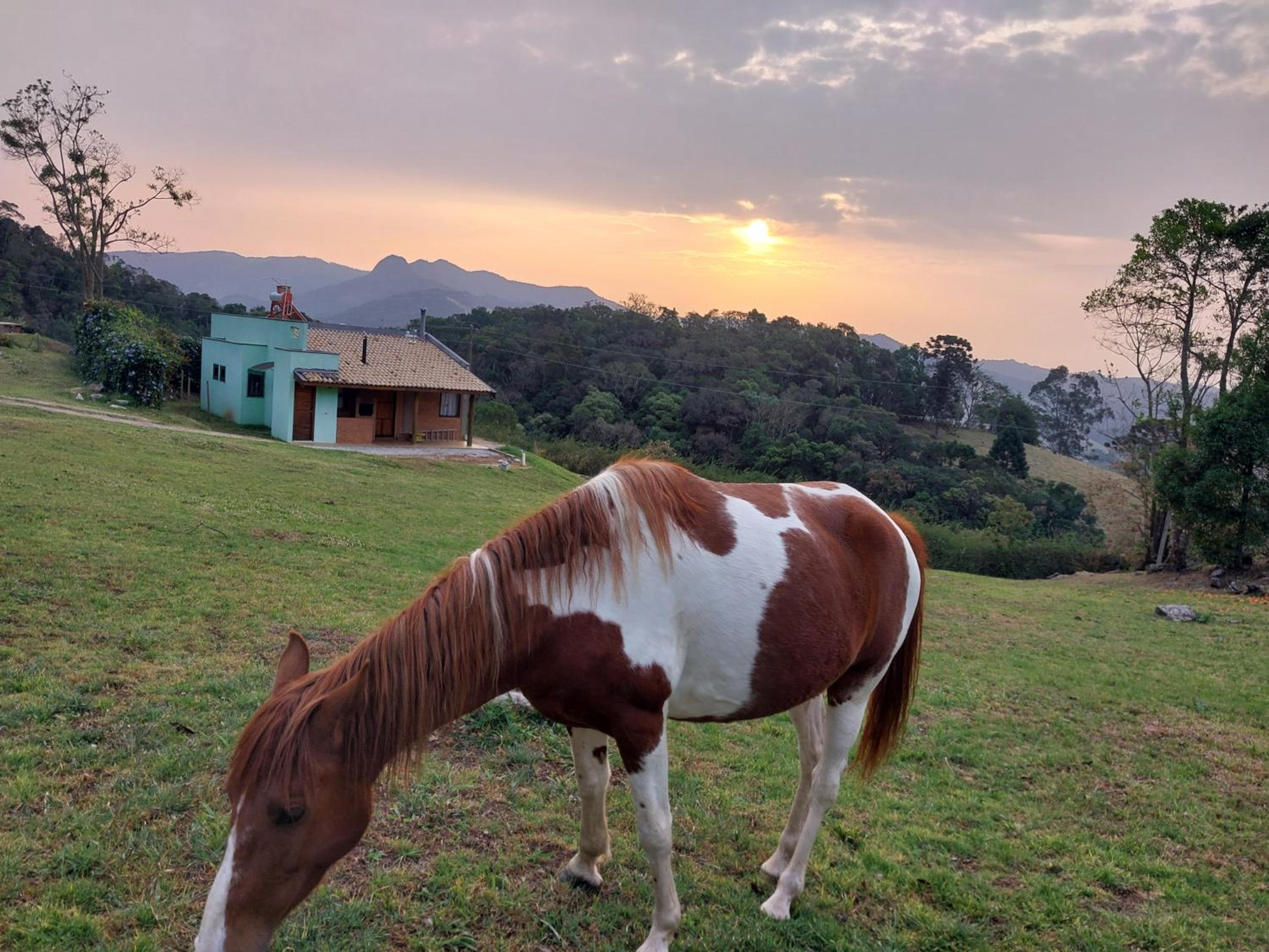 CASA NA MONTANHA