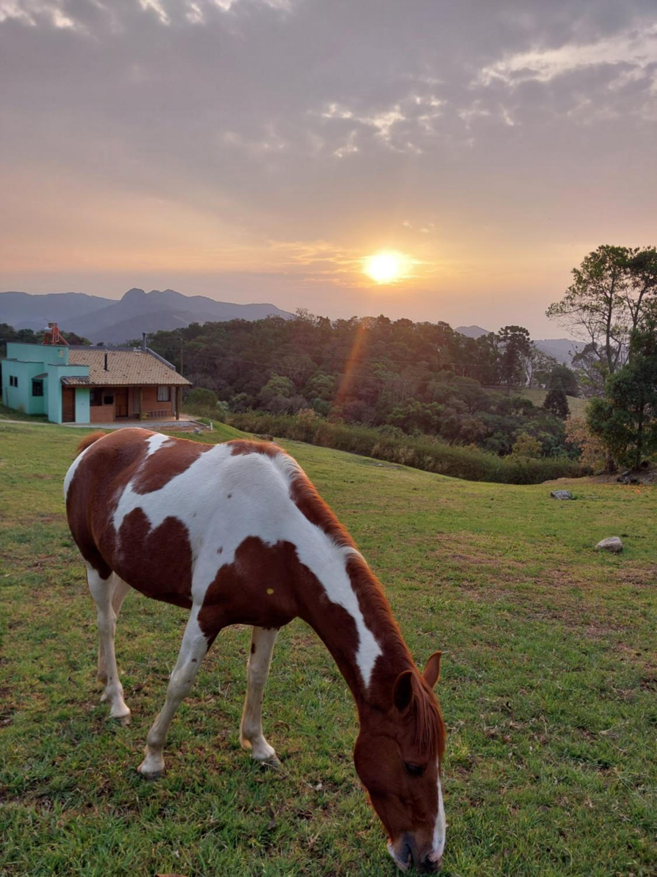 CASA NA MONTANHA