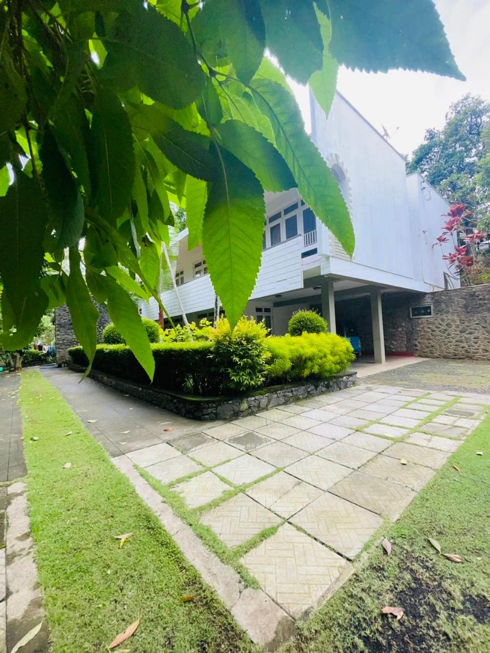Palm Grove Bandarawela view 3