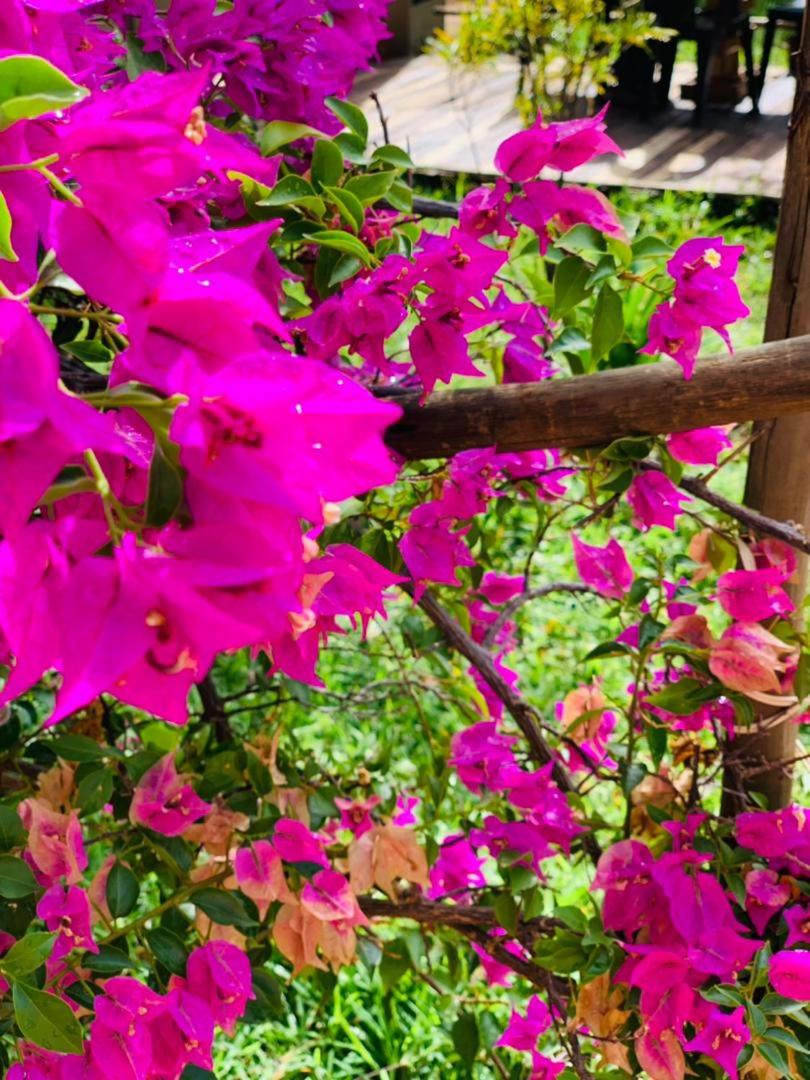 Jungle Breeze Home Stay