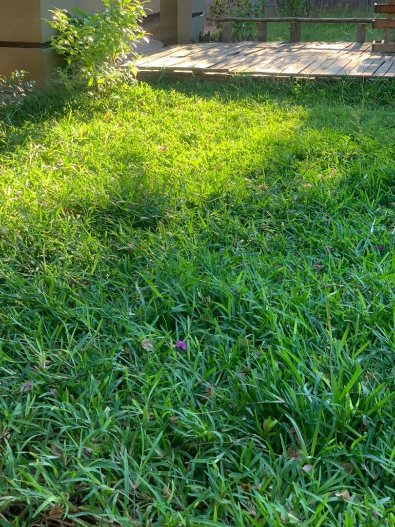 Jungle Breeze Home Stay