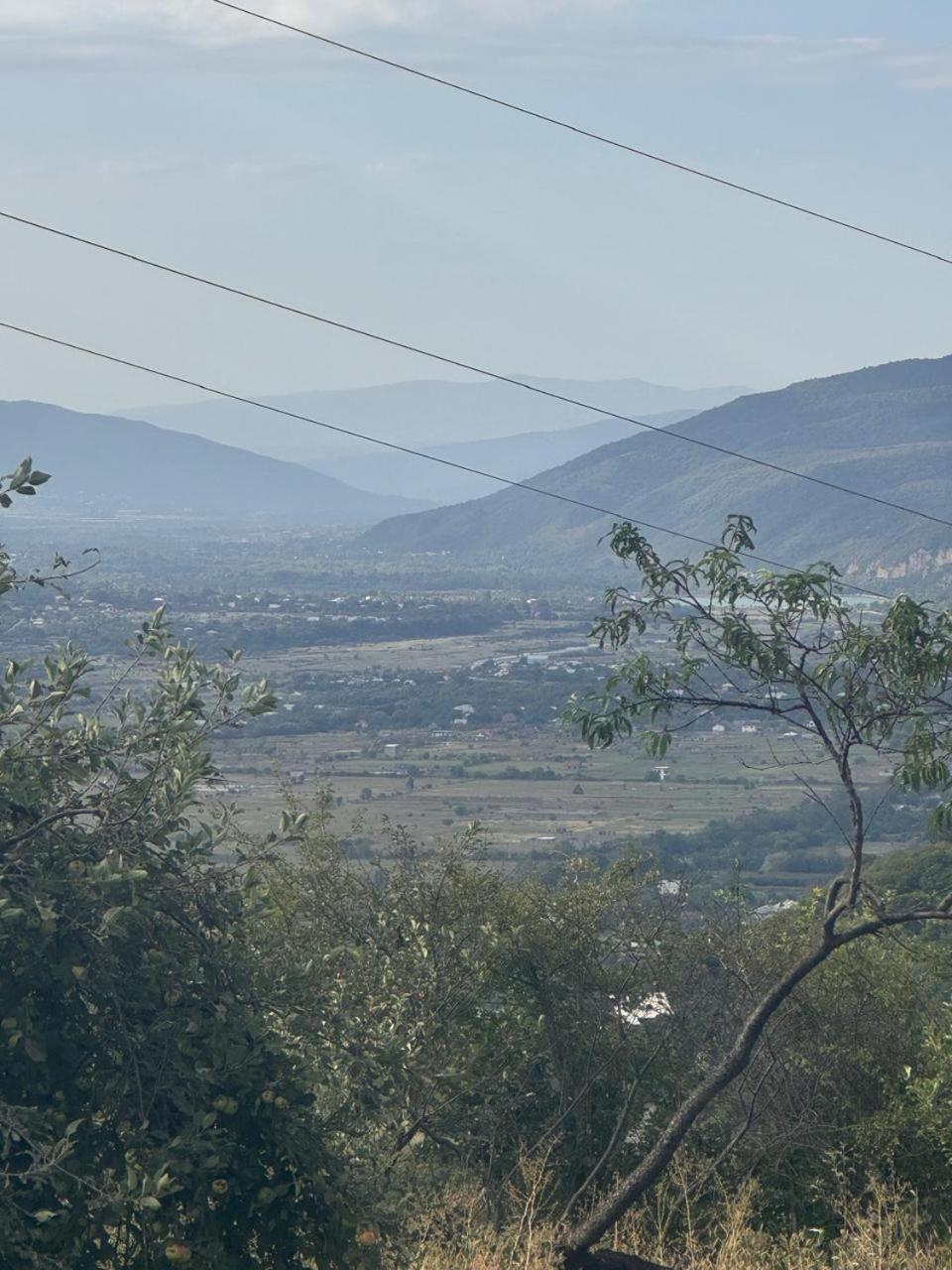 Suliko